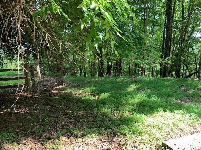 0 Walnut Ridge - Photo 1