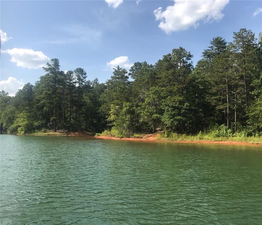 0 Reed Creek Highway - Photo 1