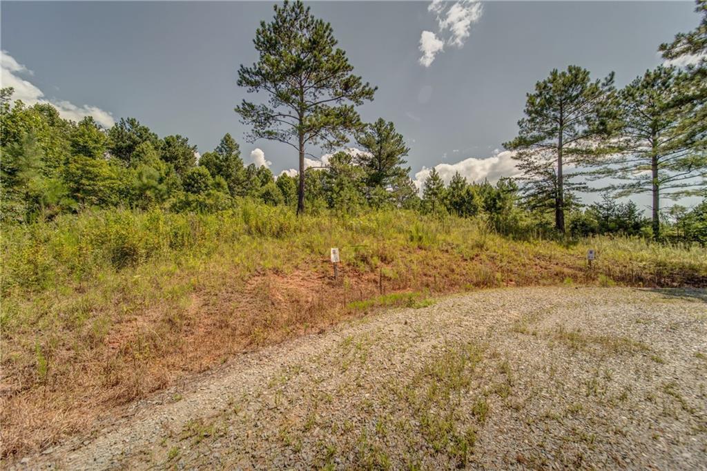0 Eagles Crest Lane - Photo 1