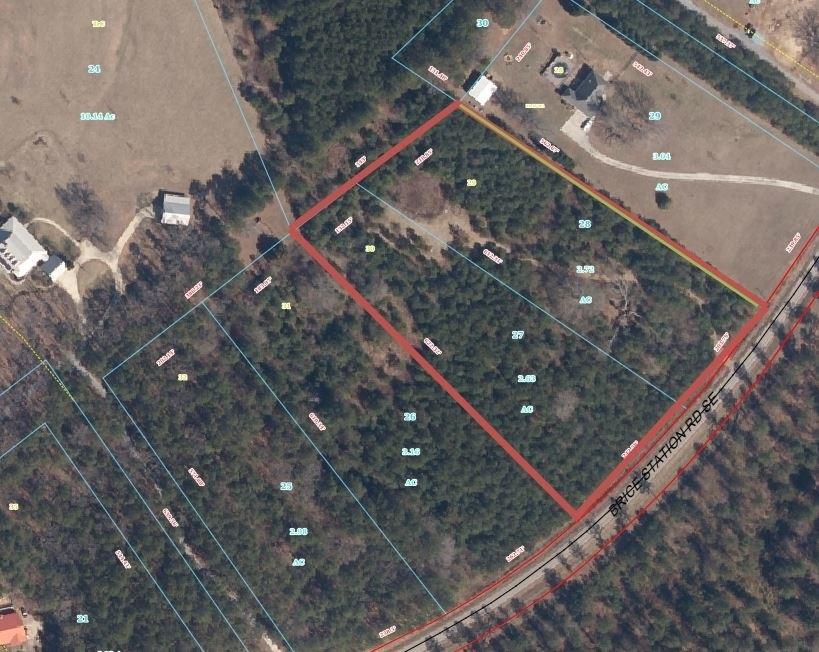 00 Brice Station Road - Photo 1