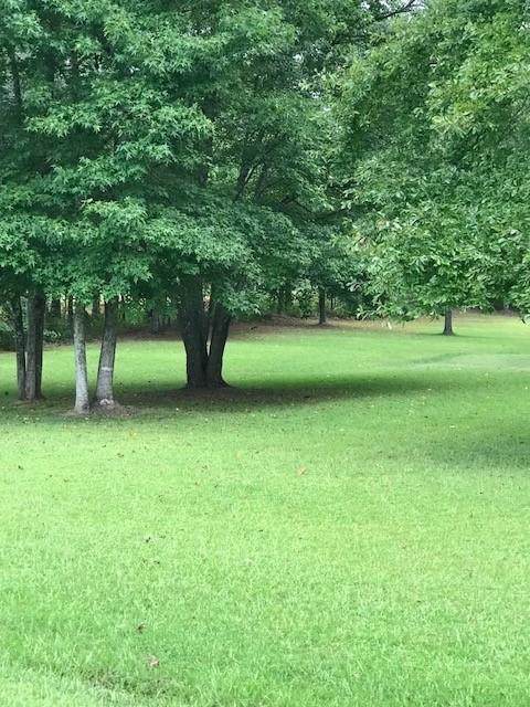 2147 Smokey Road - Photo 1