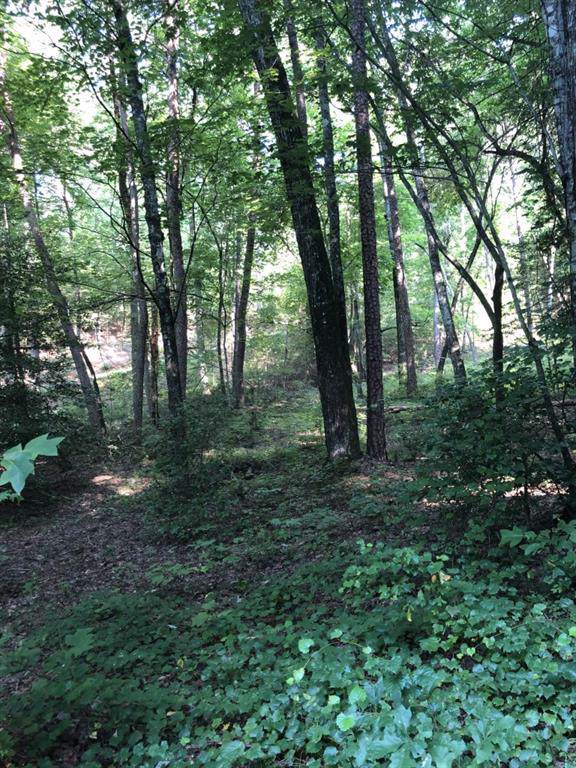 00 Corbin Lane - Photo 1