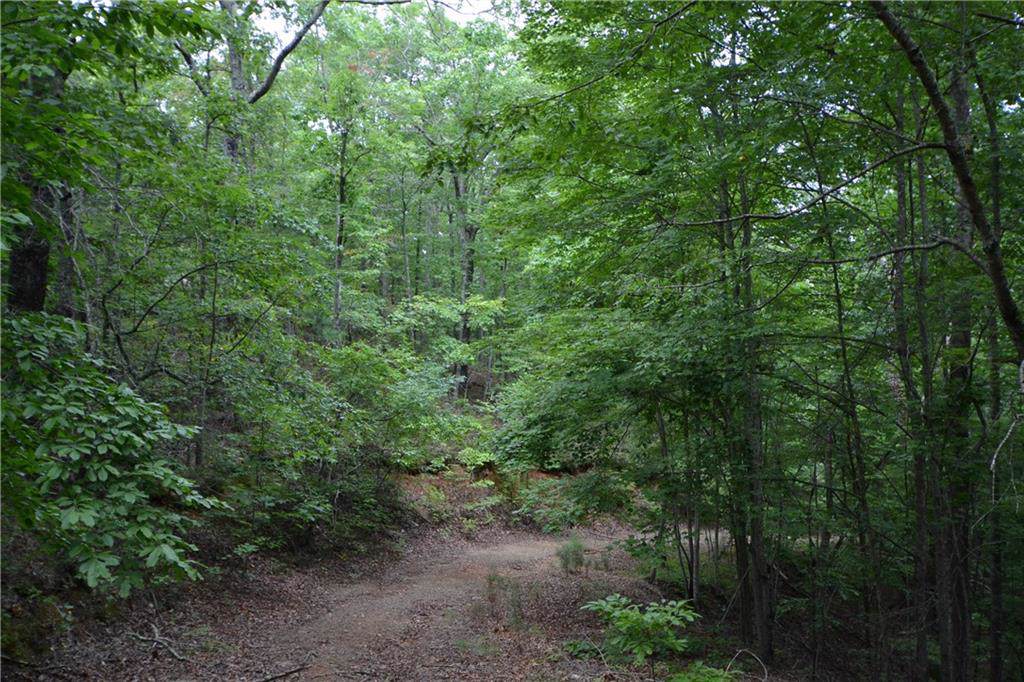 0 Camp Branch Road - Photo 1