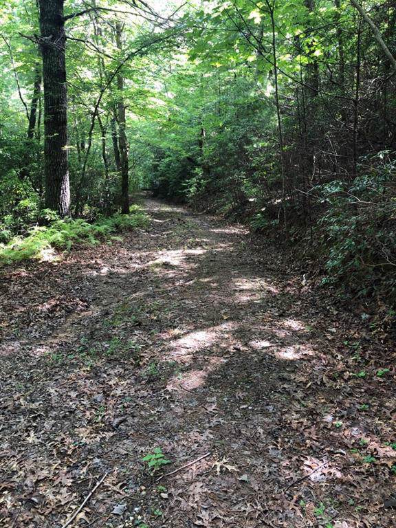 0 Laurel Mountain Hollow - Photo 1