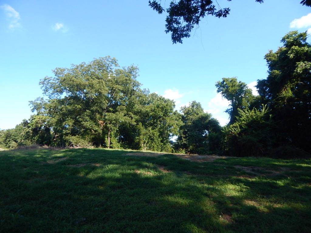 691 Chestnut Hill Road - Photo 1