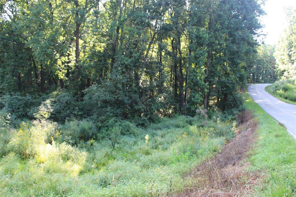 8618 Skitts Mountain Road - Photo 1