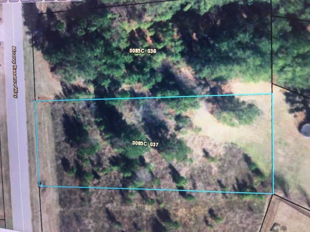 230 Alcovy Reserve Way - Photo 1