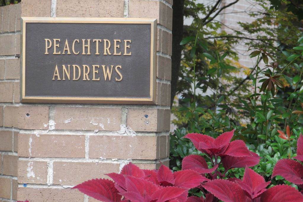 2734 Peachtree Road - Photo 1