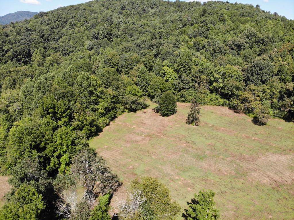 1 Highway 19 North Tract 1 - Photo 1