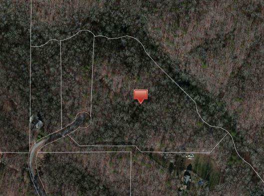 0 Mountain Lake Road - Photo 1