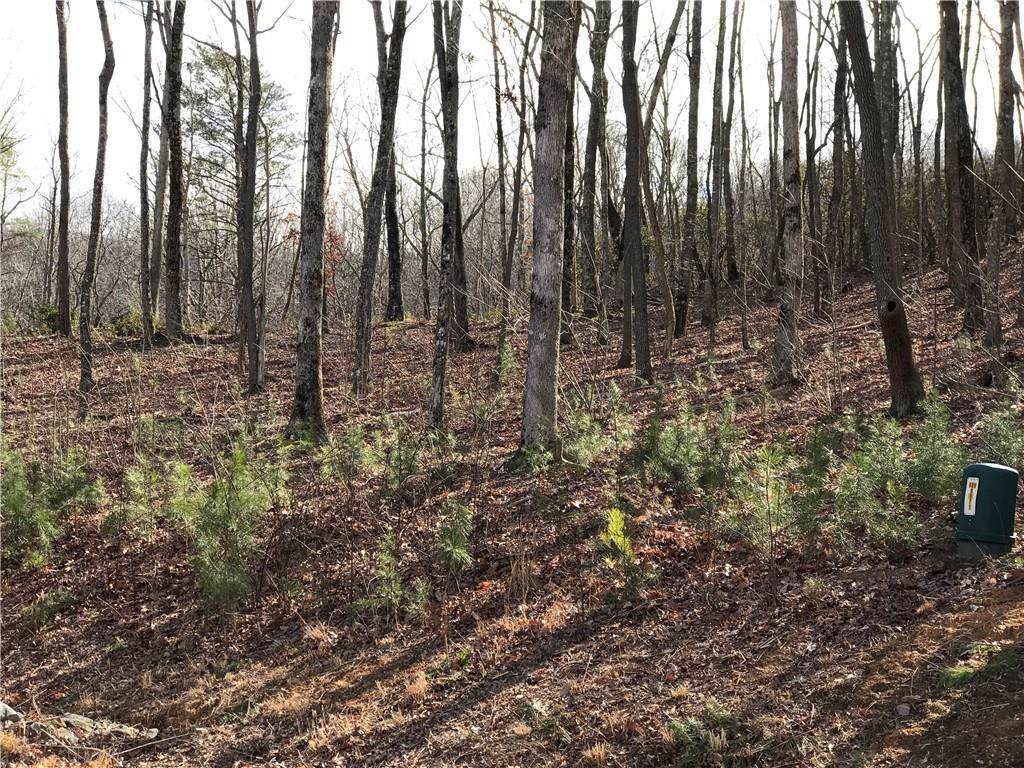 Lot179 Trailwood Drive - Photo 1