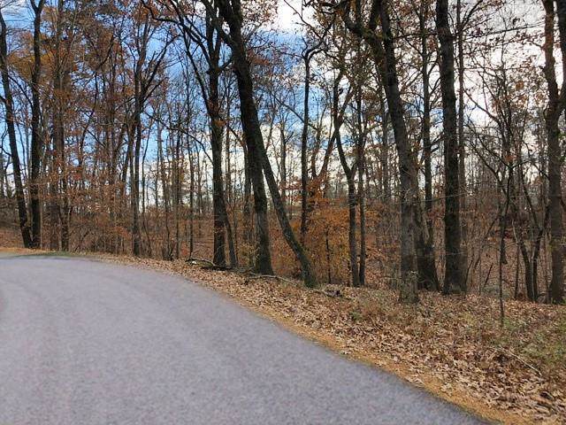 0 Alder - Photo 1