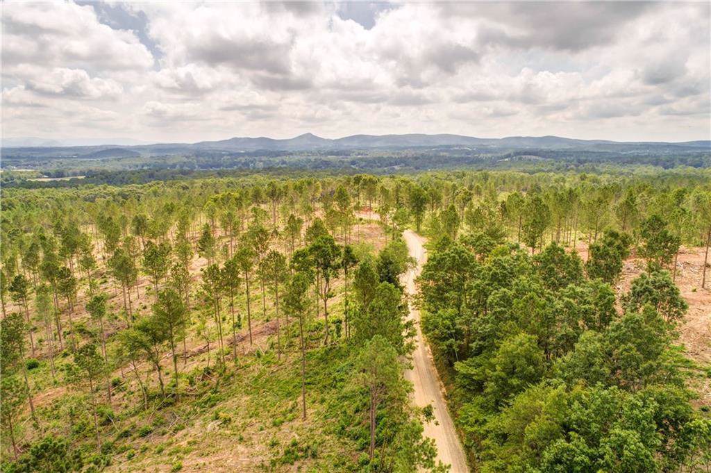 0 Bryant Loop Road - Photo 1