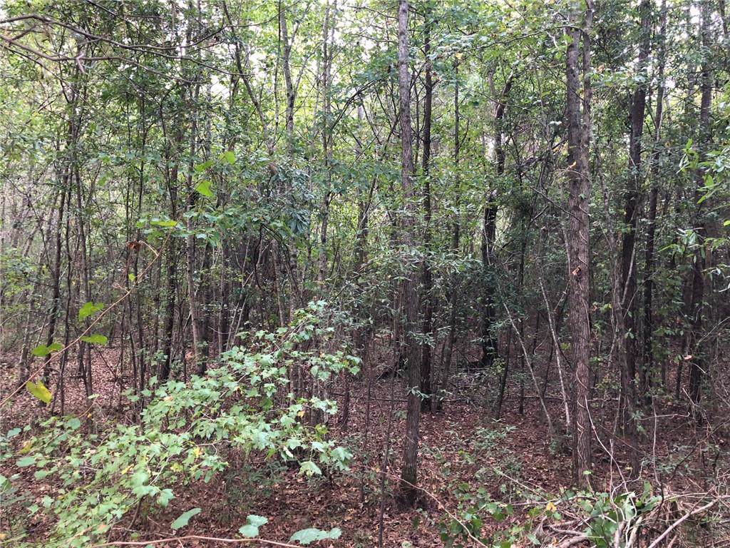 0 Satcher Road - Photo 1