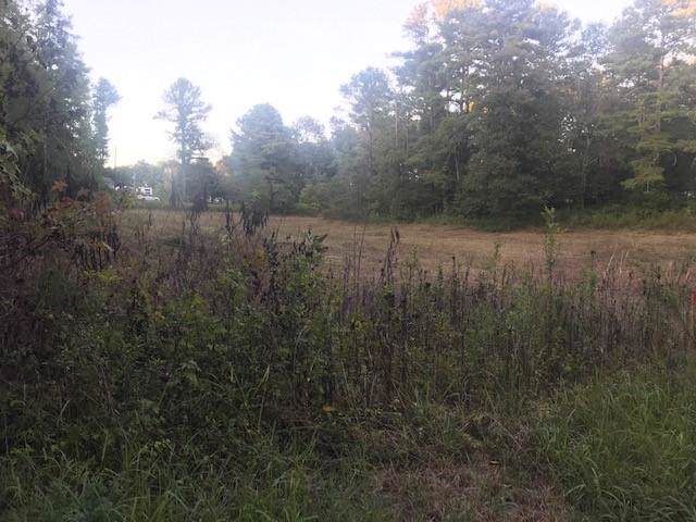 1143 Garmon Road - Photo 1