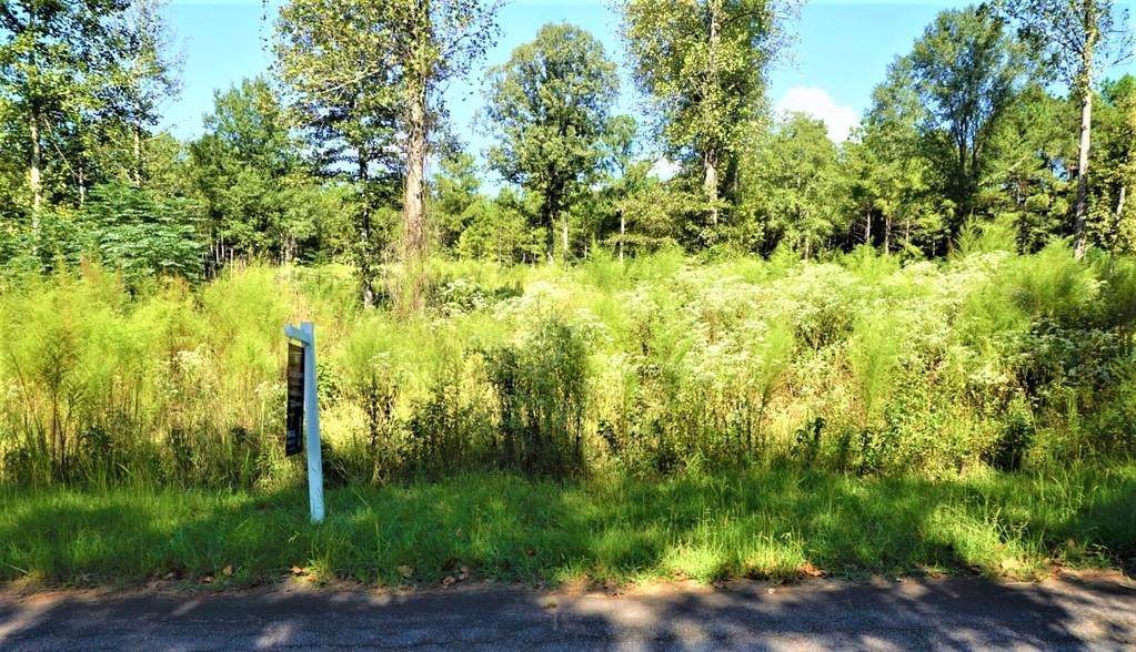 0 Eagle View Drive - Photo 1