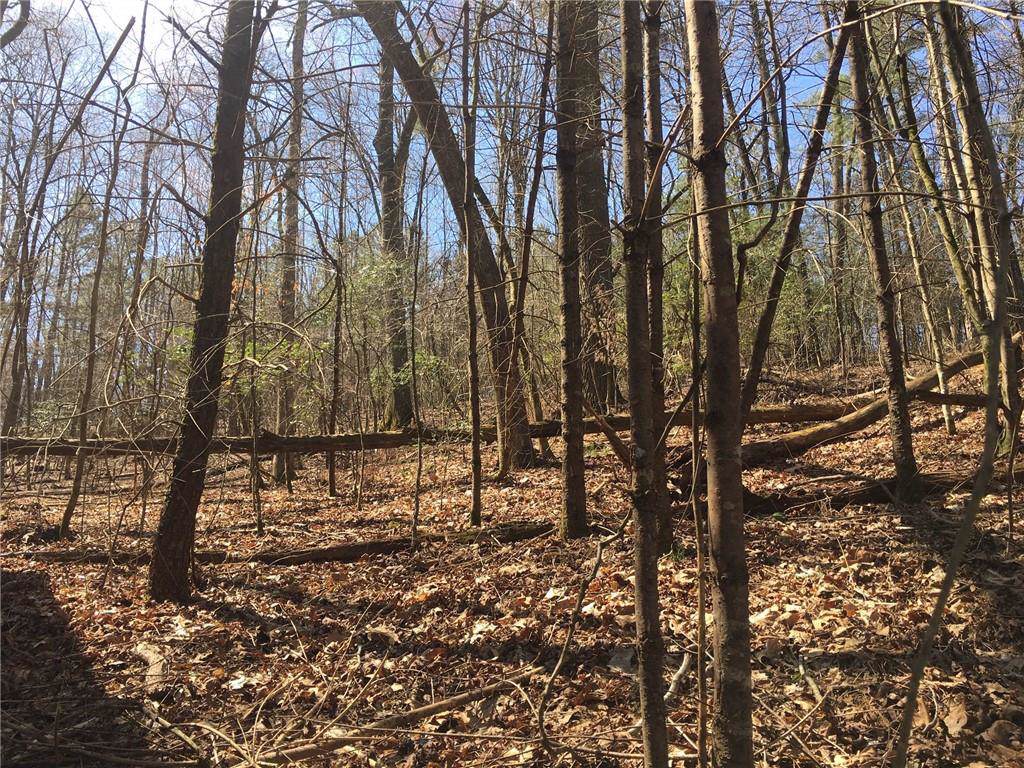 lot109 Lazy River Lane - Photo 1