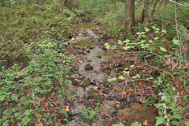 0 Johntown Road - Photo 1