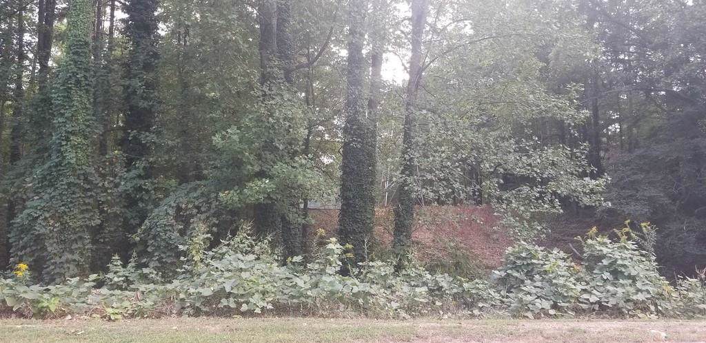 6 Dixie Lake Road - Photo 1