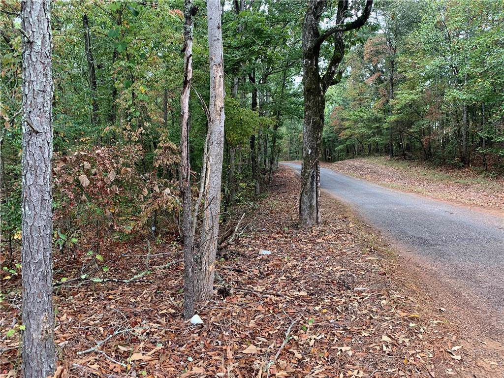 000 Damascus Road - Photo 1