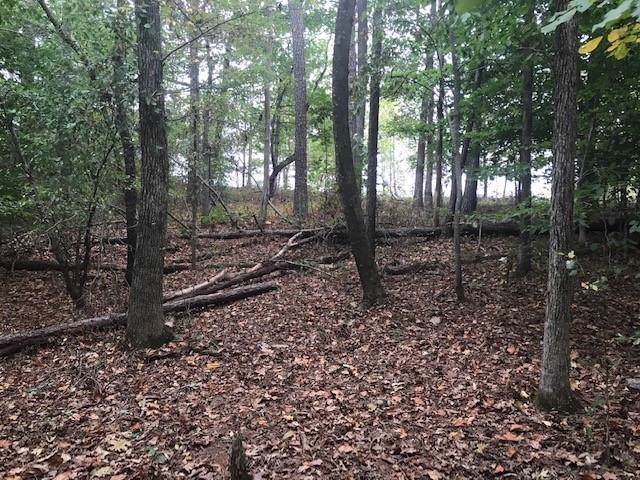 00 Wrights Mill Road - Photo 1