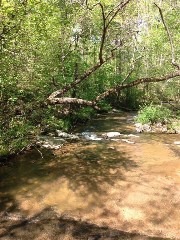 0 Rat Kinney Road - Photo 1