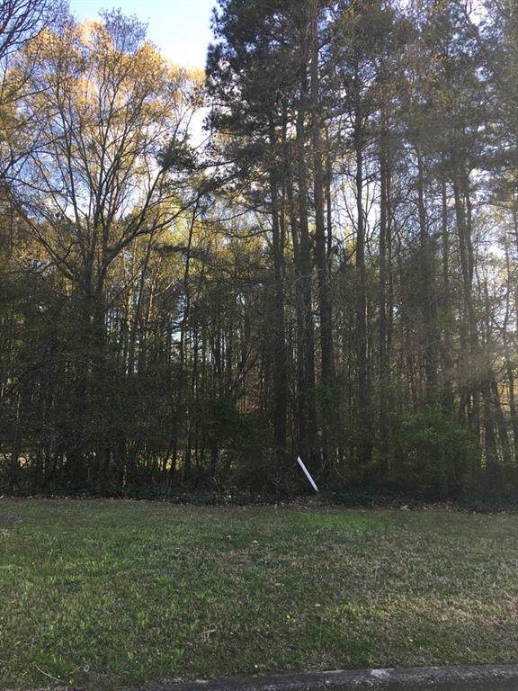 3296 Creek Trace - Photo 1