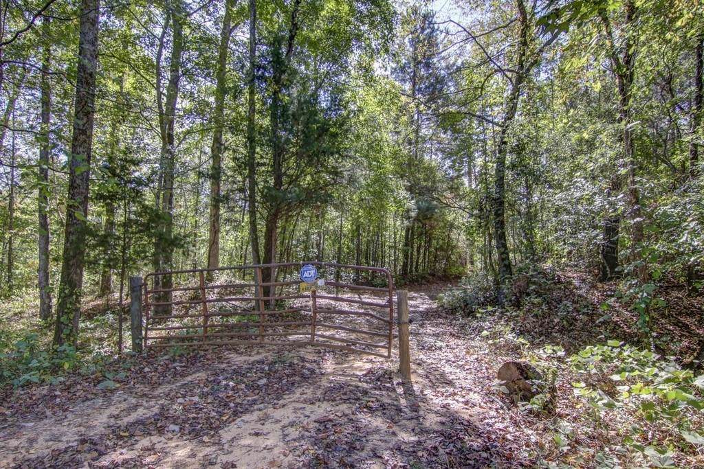 667 Bethany Road - Photo 1