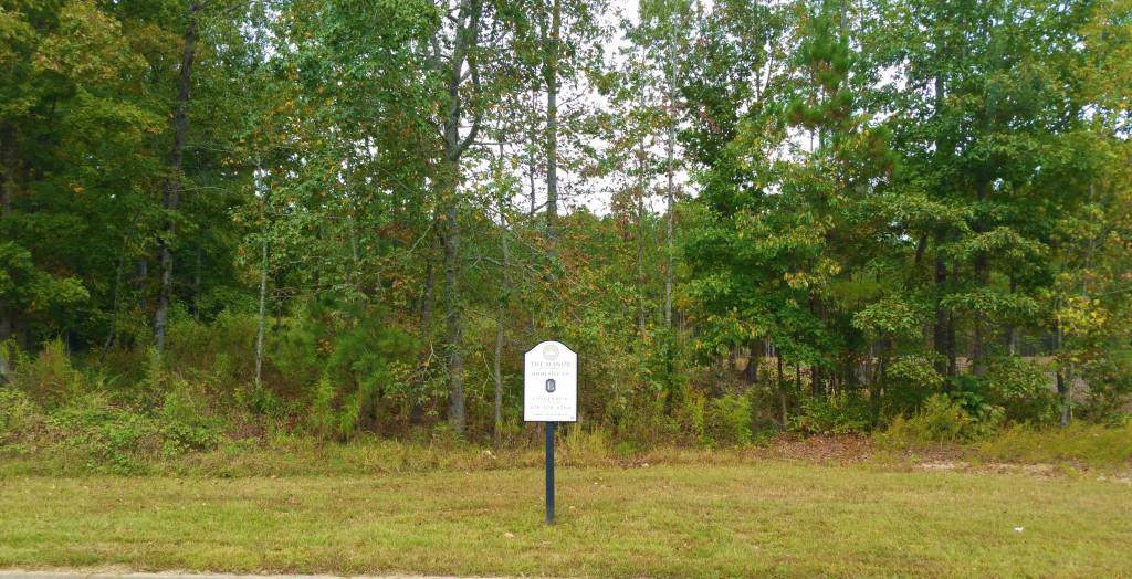 16007 Manor Club Drive - Photo 1