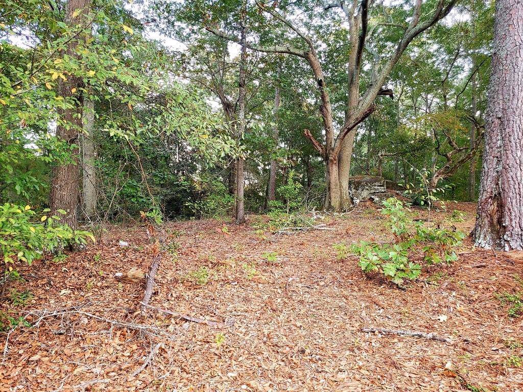 0 Springwood Circle - Photo 1