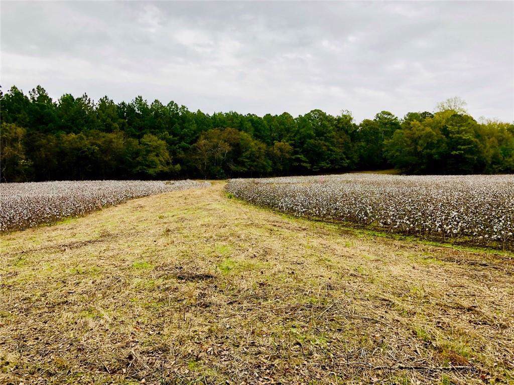 Lot 7 Saggus Road - Photo 1