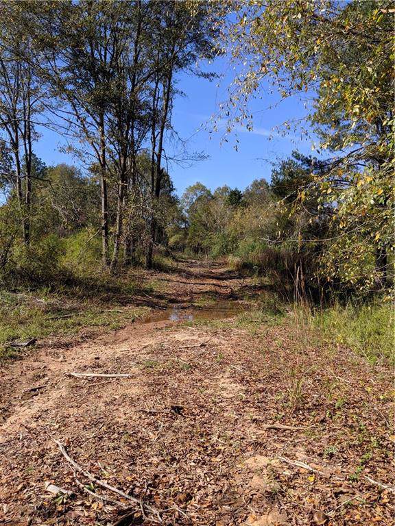 0 Antioch Road - Photo 1