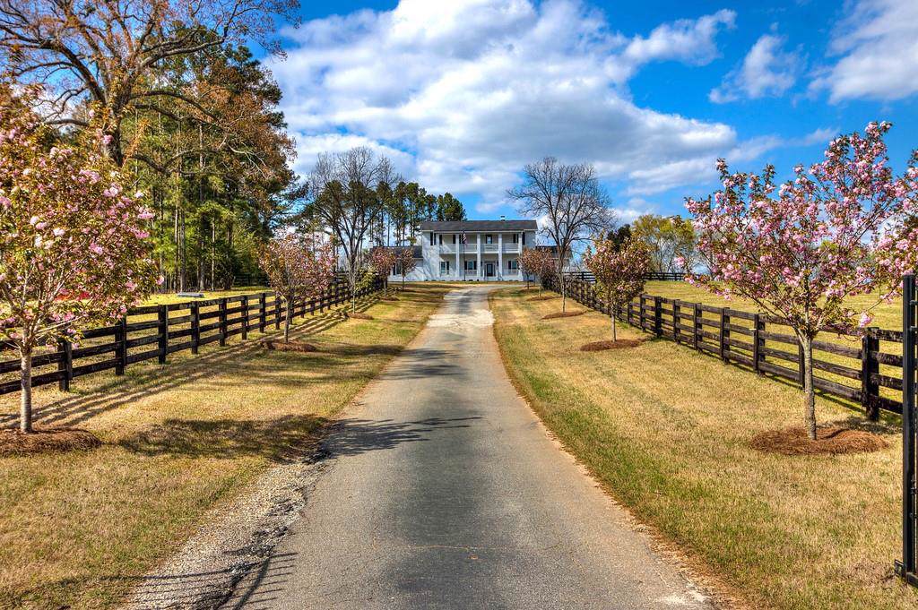 1460 Old Alabama Road - Photo 1