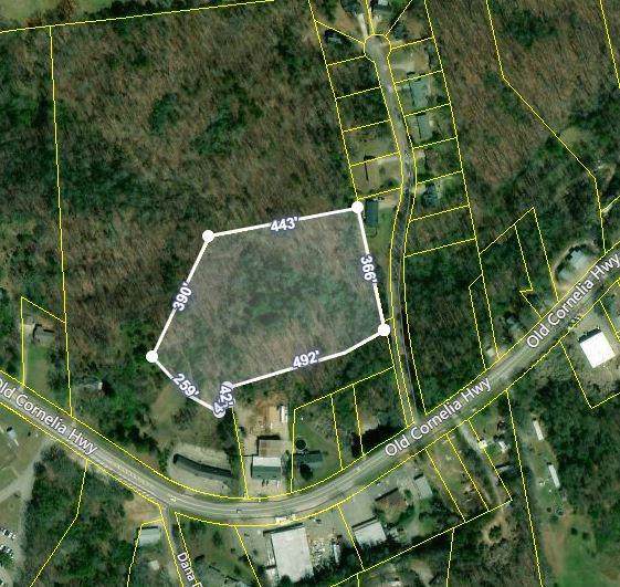 0 Old Cornelia Highway - Photo 1