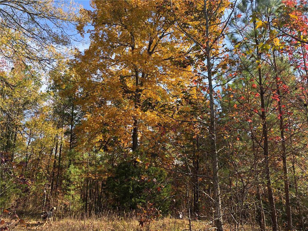 0 Perkins Mountain Road - Photo 1