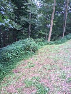 103A Moorewood Circle - Photo 1