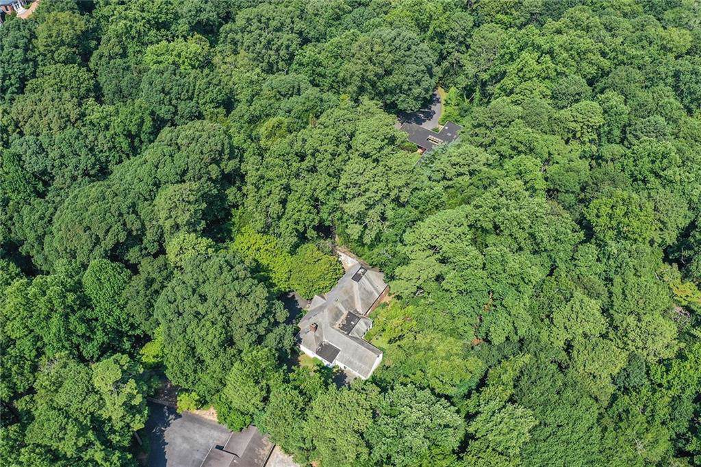 3699 Randall Mill Road - Photo 1