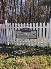 0 Brushy Mountain Place - Photo 1