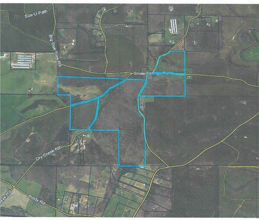 325 Snow Springs Road - Photo 1