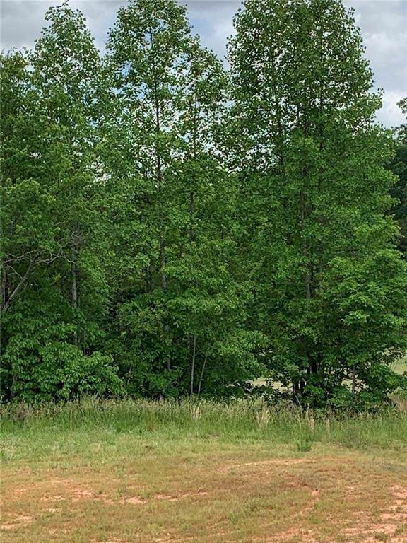 904 Indigo Bunting Road - Photo 1