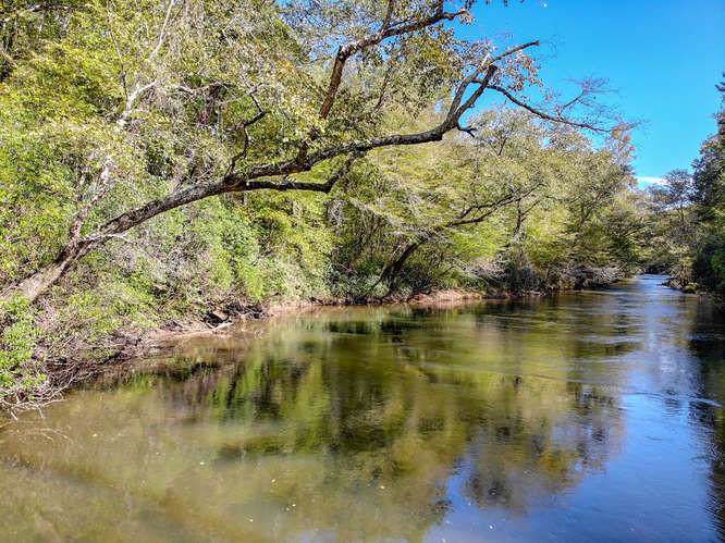 0000 River Bridge Trail - Photo 1