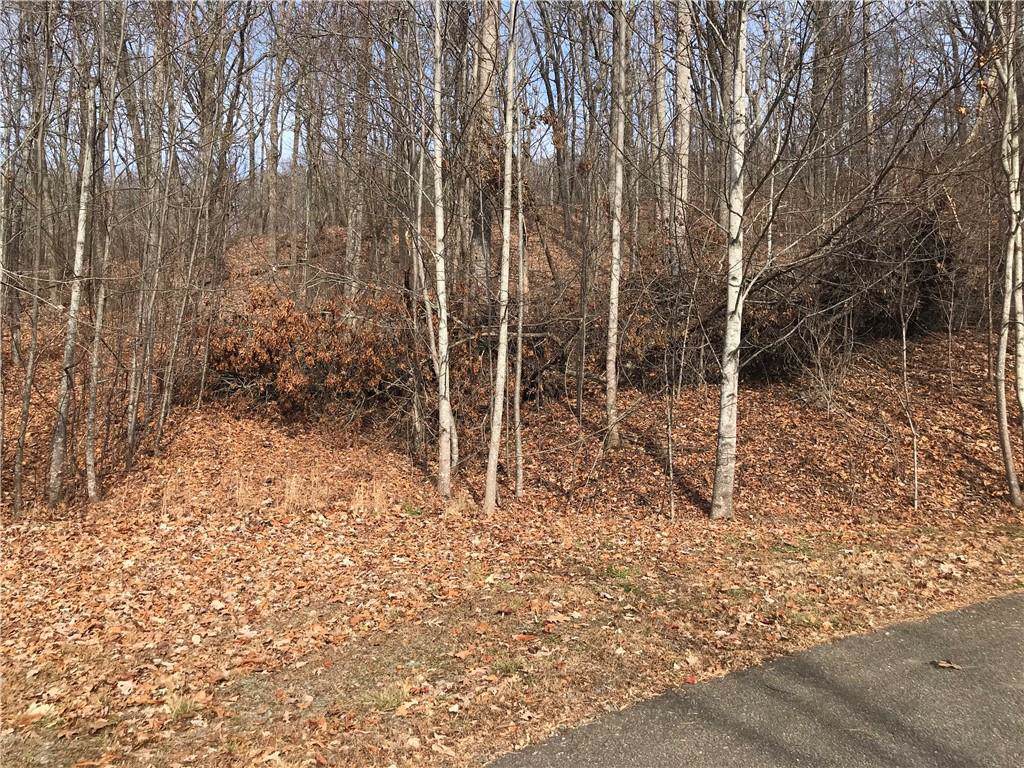 0 Highlands Parkway - Photo 1