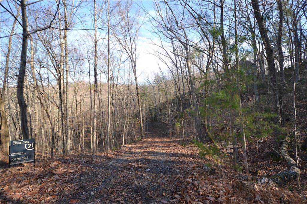 0 Blueberry Road - Photo 1
