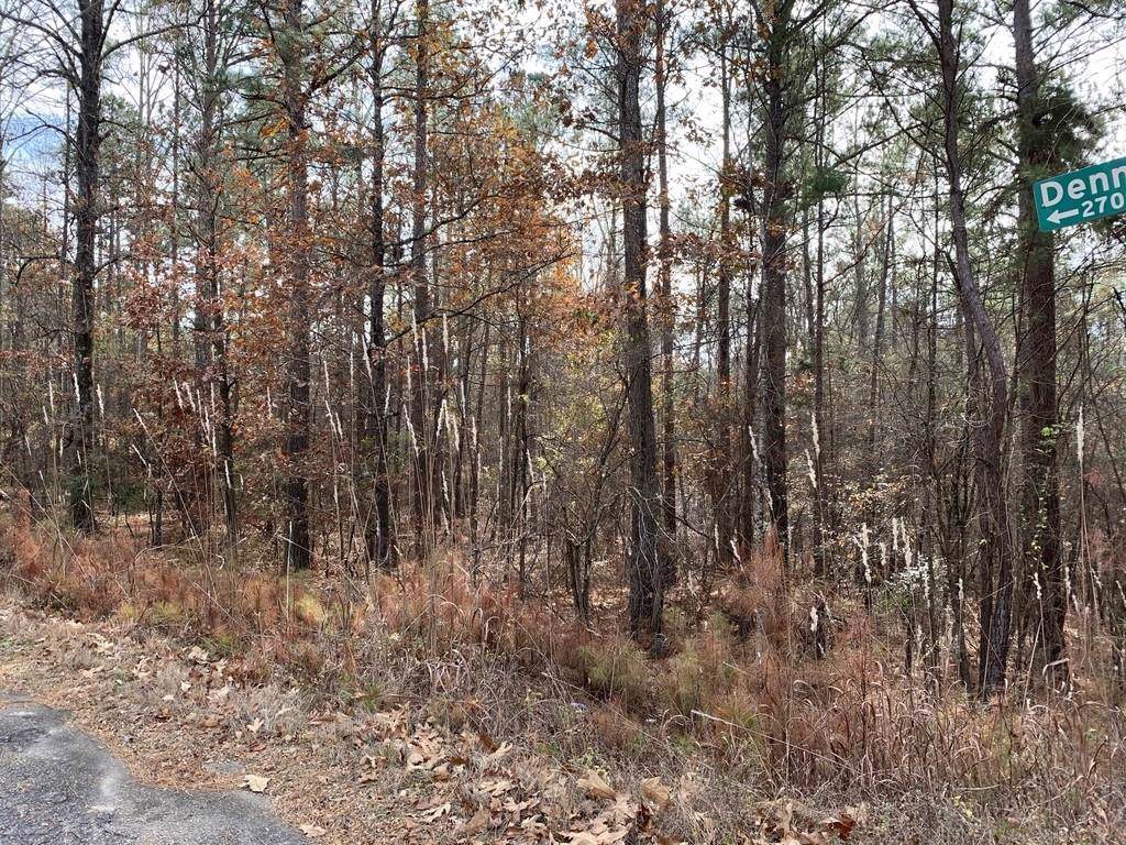 2709 Dennard Road - Photo 1