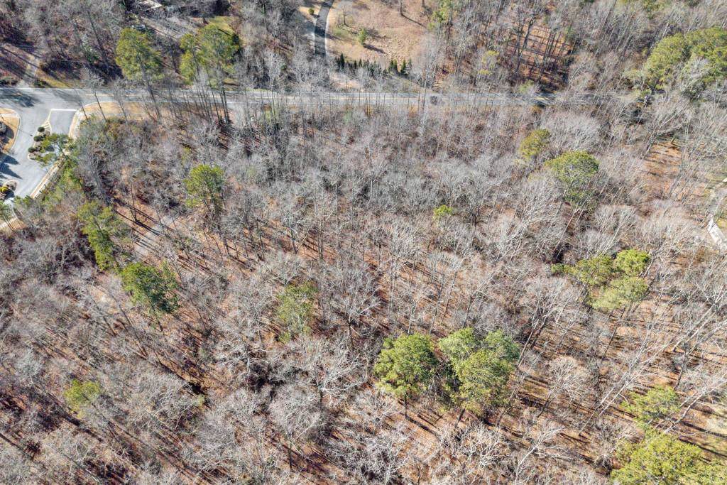 14385A Cogburn Road - Photo 1