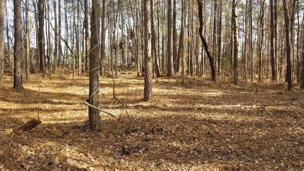 3415 Zoar Road - Photo 1 3415 Zoar Road - Photo 1