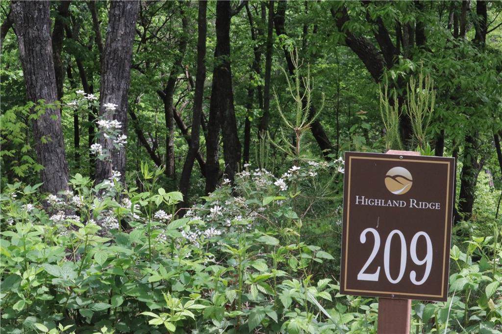 209 Stone Cliff Drive - Photo 1