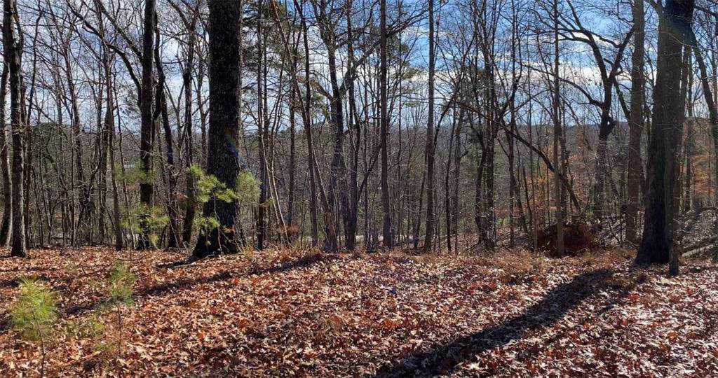 1563A War Hill Park Road - Photo 1