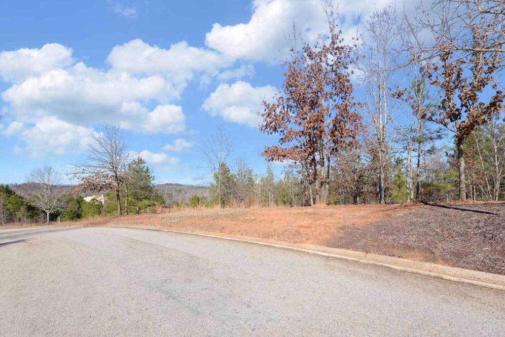 1450 Currahee Club Drive - Photo 1