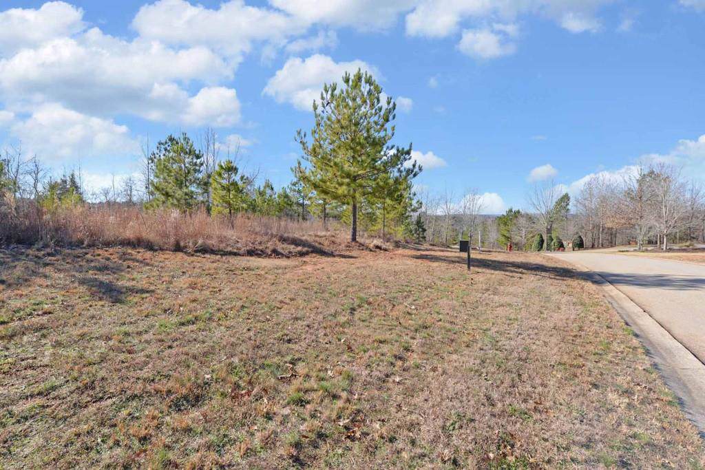 1515 Currahee Club Drive - Photo 1